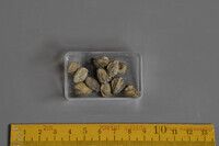 F 01489
<br/>
<br/>
<em></em>